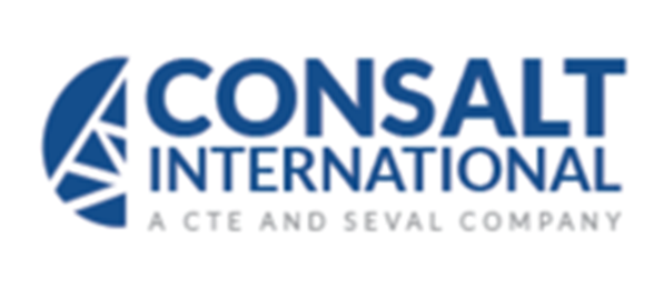 logos-01_0006_LOGO-CONSALT